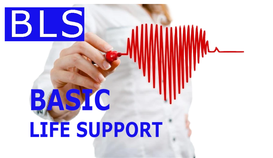 BLS Basic Life Support CPR